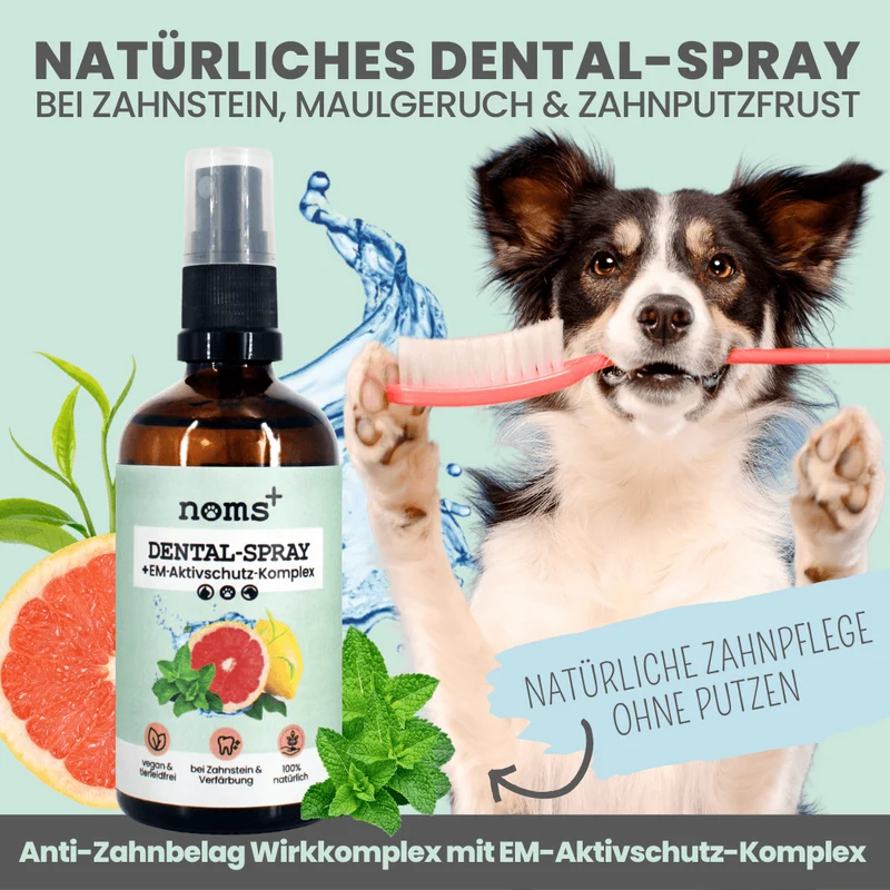 Dental-Spray | bei Zahnstein für Hunde