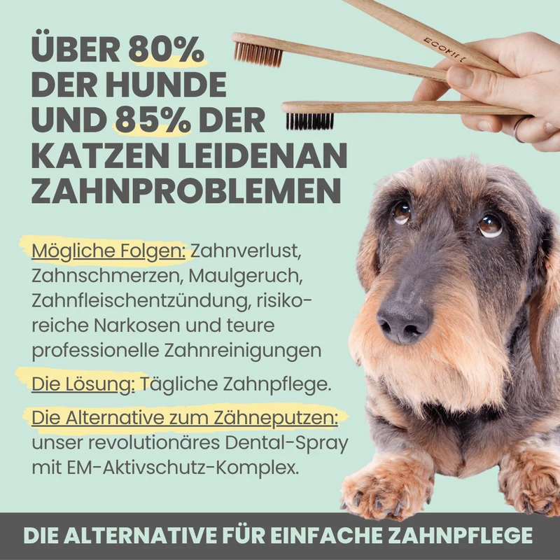 Dental-Spray | bei Zahnstein für Hunde