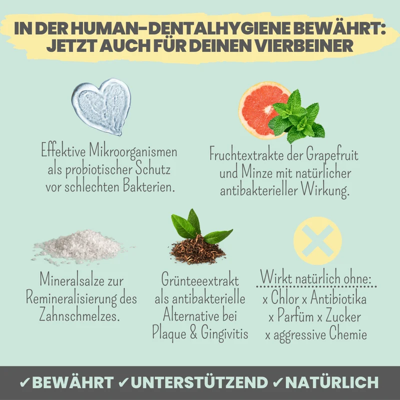 Dental-Spray | bei Zahnstein für Hunde