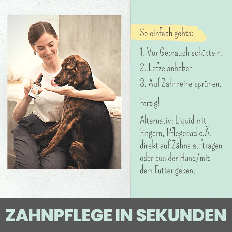 Dental-Spray | bei Zahnstein für Hunde