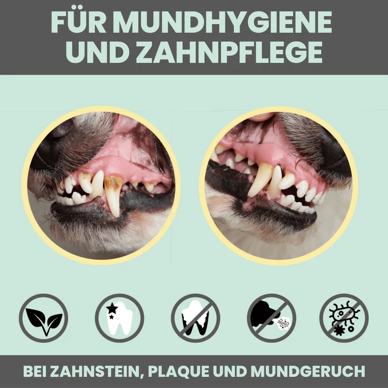 Dental-Spray | bei Zahnstein für Hunde