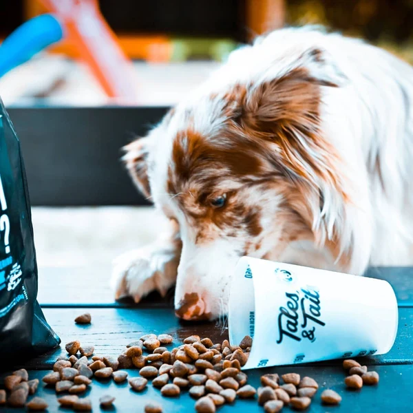 Messbecher für Hundefutter