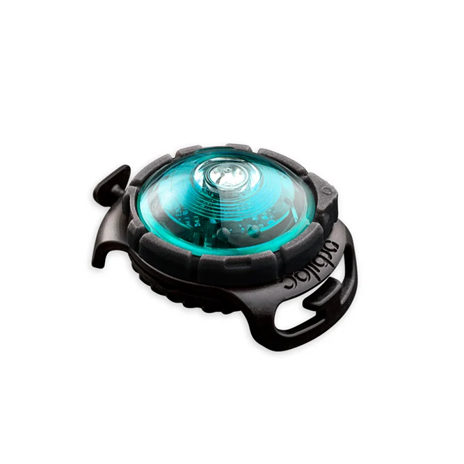 Sicherheitslicht Dog Dual | Türkis