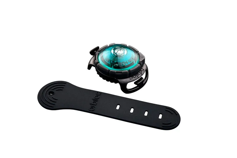 Sicherheitslicht Dog Dual | Türkis