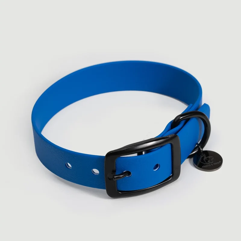 Biothane Hundehalsband | blau
