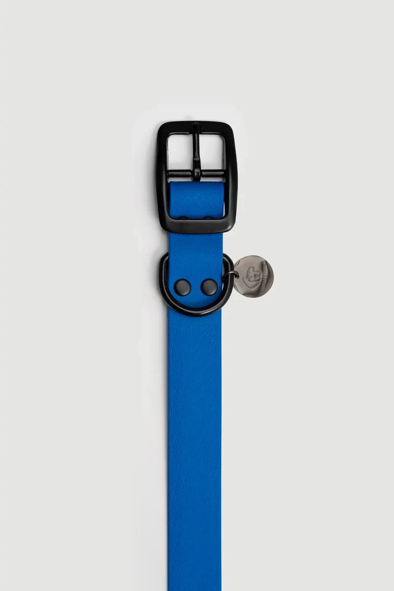 Biothane Hundehalsband | blau
