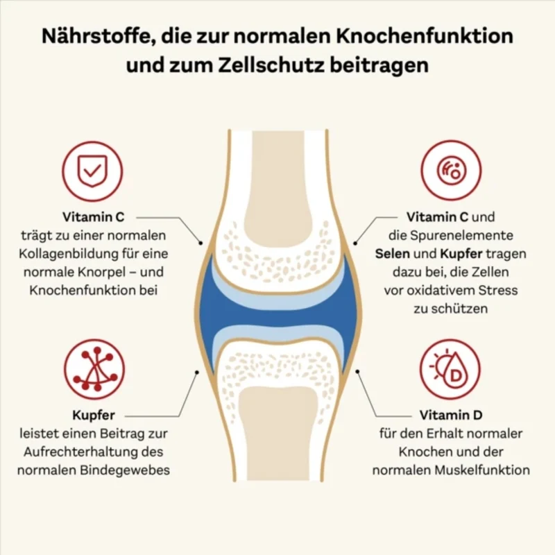 DOPPELHERZ Kollagen 11.000 Plus system Ampullen, 30 Stück
