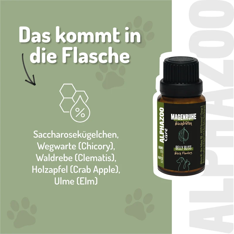 Magenruhe Bachblüten
