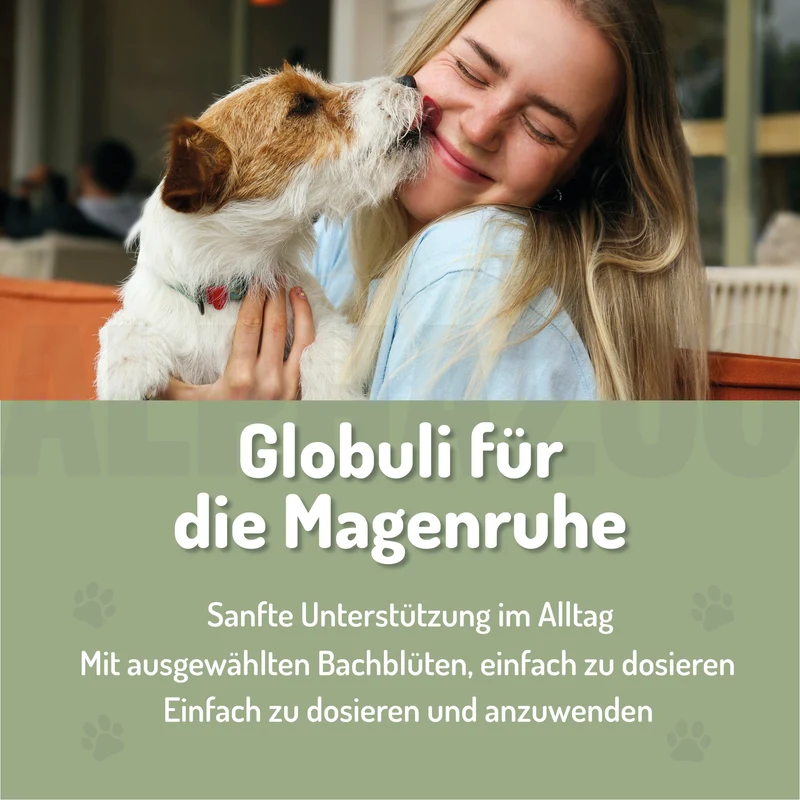 Magenruhe Bachblüten