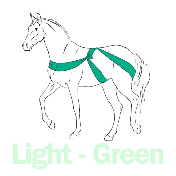 Elastotex Körperband light green - 10cm x 3,5m