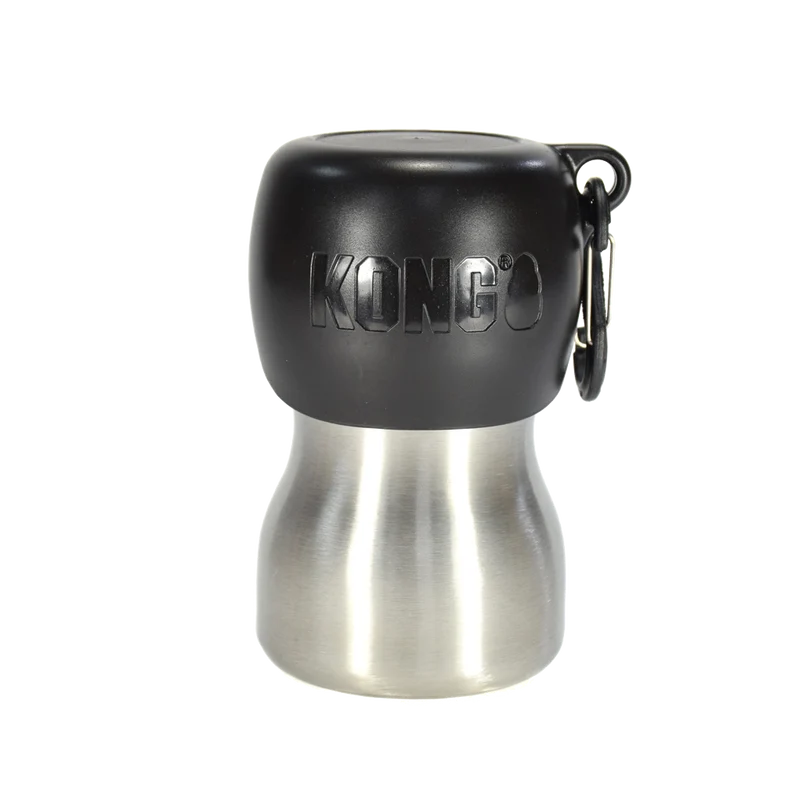 KONG H2O RVS Waterfles