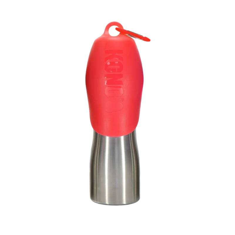 KONG H2O RVS Waterfles