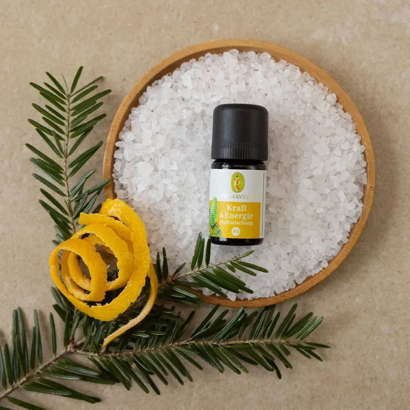 Primavera Kraft & Energie Duftmischung bio 5ml