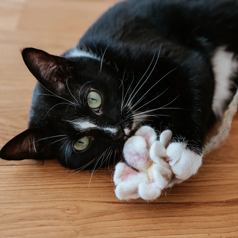 Katzenspielzeug Gundula Gänseblümchen