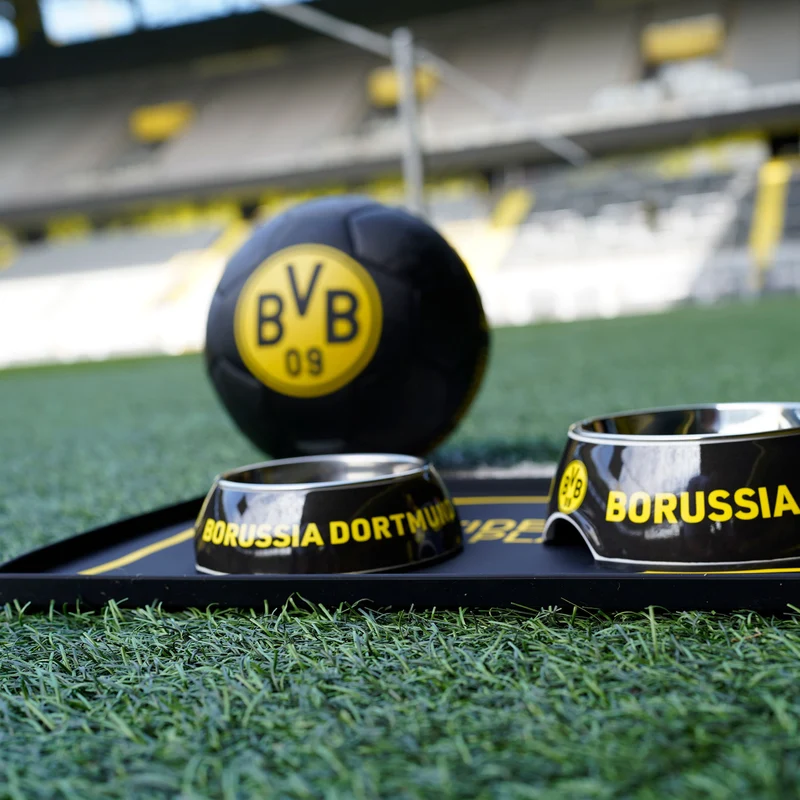Napfunterlage BVB