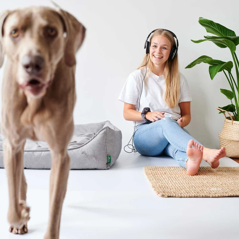 Hundesofa Eiby