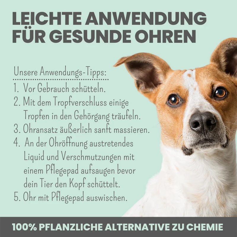Ohrfein 2-in-1 | Reinigung & Pflege