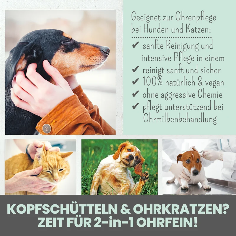 Ohrfein 2-in-1 | Reinigung & Pflege
