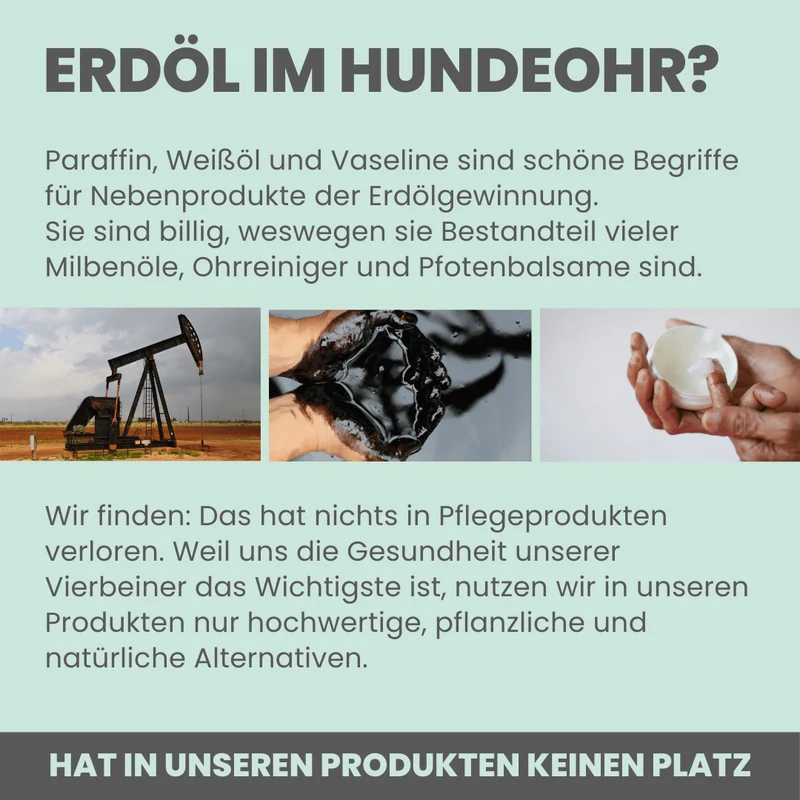 Ohrfein 2-in-1 | Reinigung & Pflege