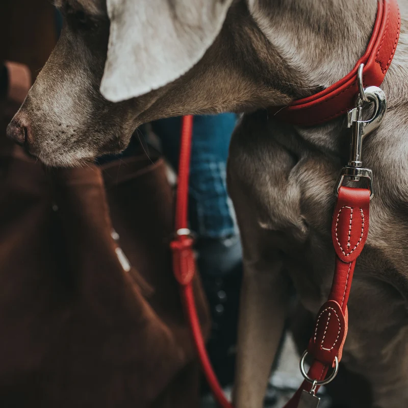 Verstellbare Führleine Round & Soft Bega