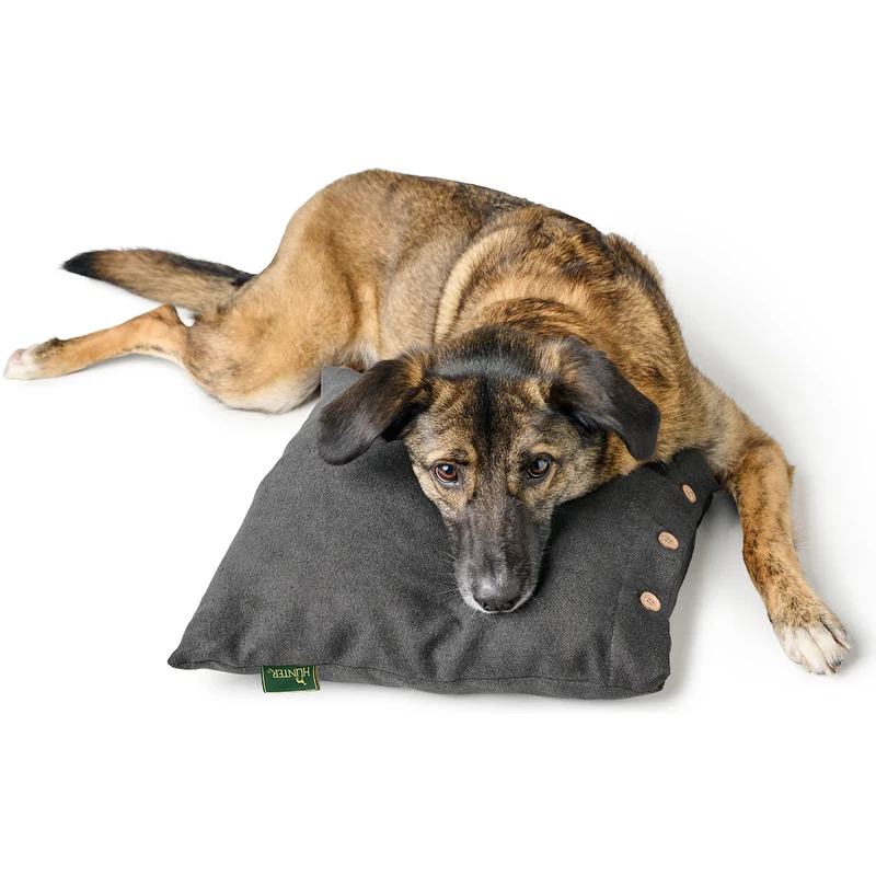 Kissen und Hundedecke 2-in-1 Rockford