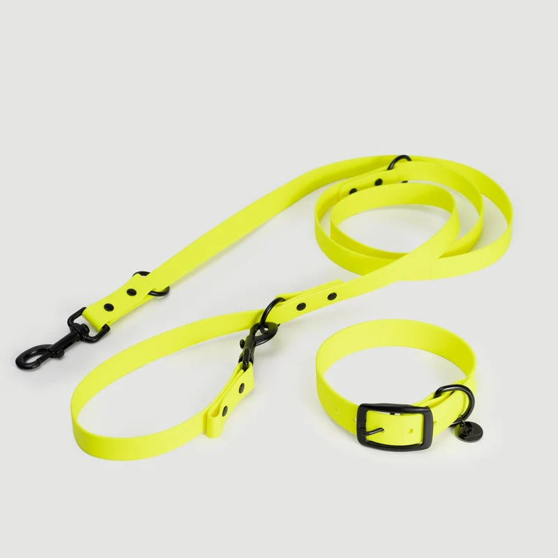 Biothane Set | gelb