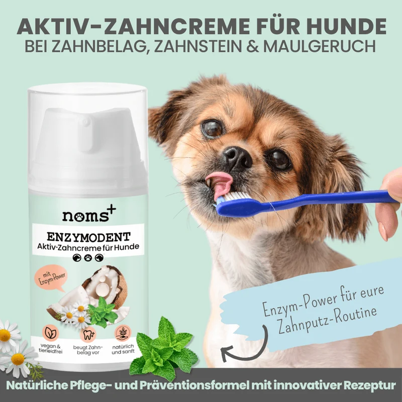 Enzymodent | Aktiv-Zahncreme für Hunde