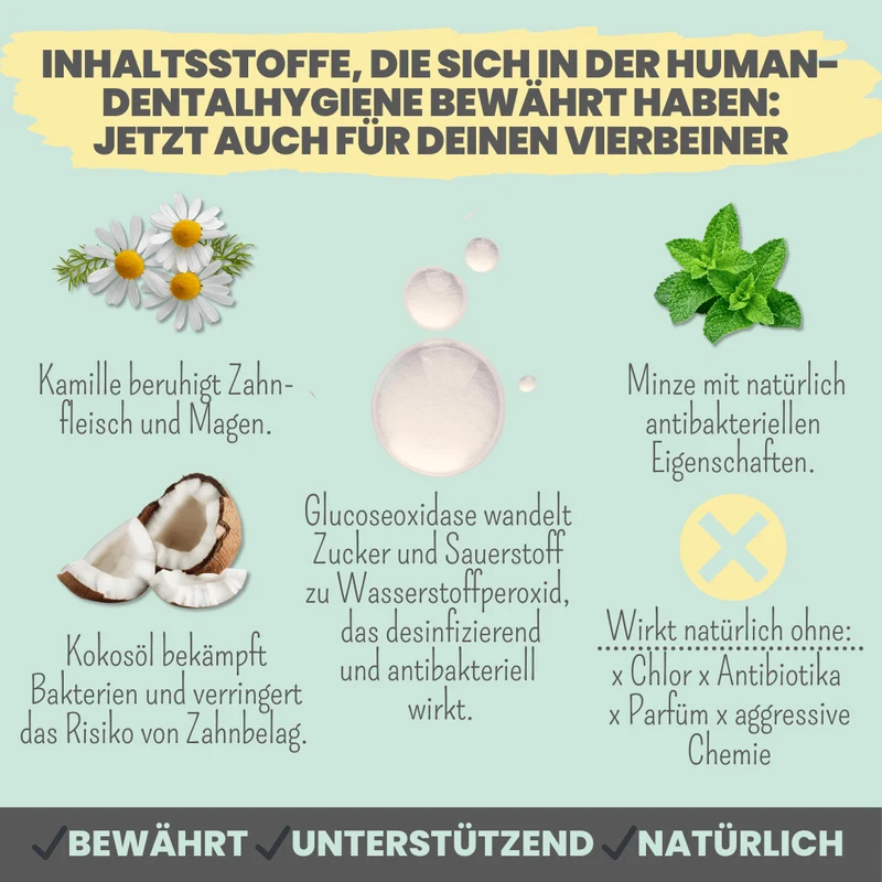 Enzymodent | Aktiv-Zahncreme für Hunde
