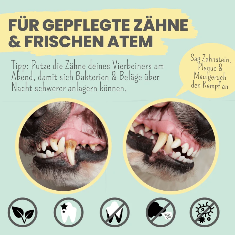 Enzymodent | Aktiv-Zahncreme für Hunde