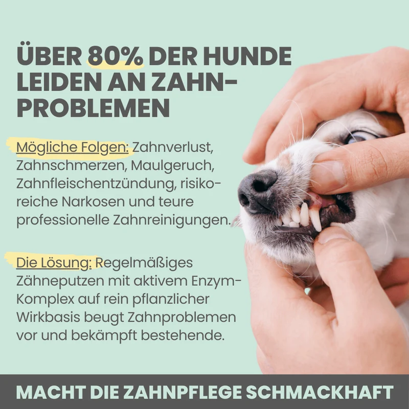 Enzymodent | Aktiv-Zahncreme für Hunde