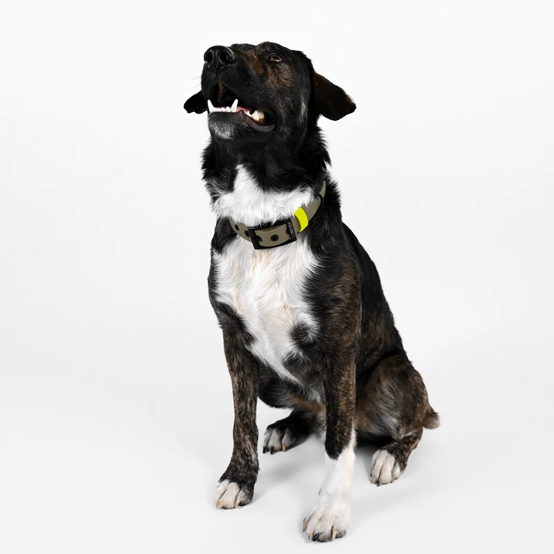 Biothane Hundehalsband | beige