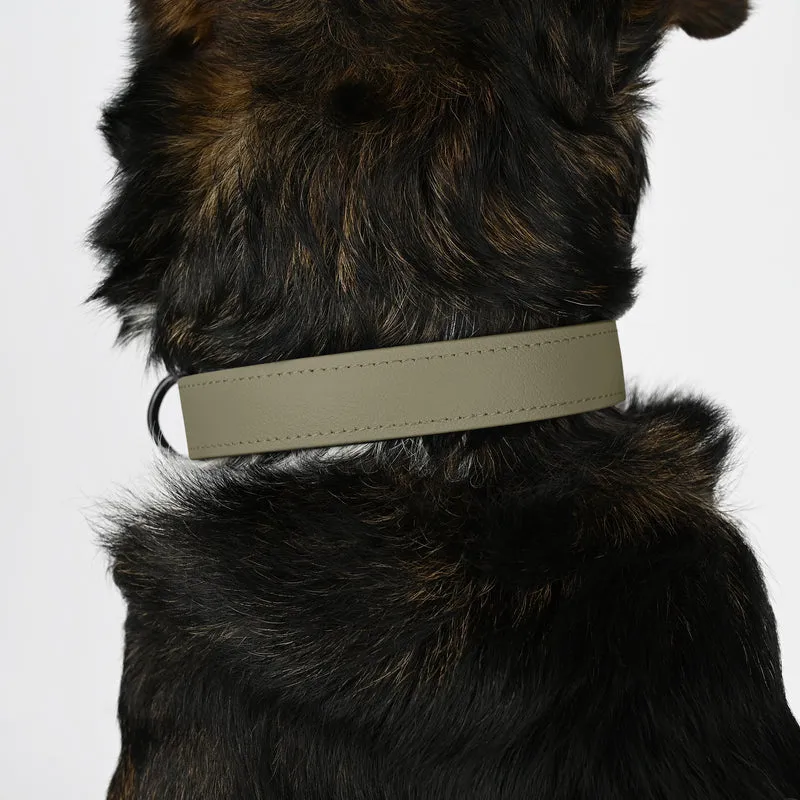 Biothane Hundehalsband | beige