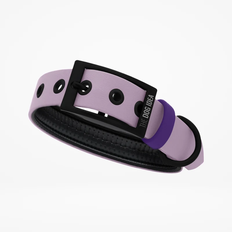 Biothane Hundehalsband | lavendel