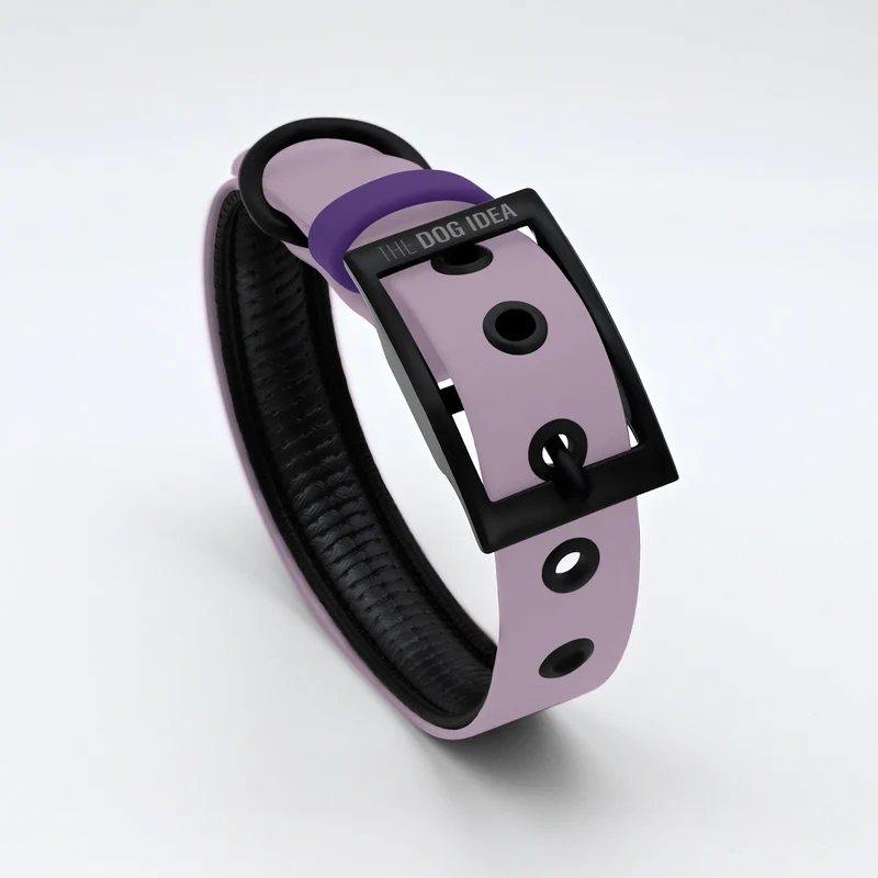 Biothane Hundehalsband | lavendel