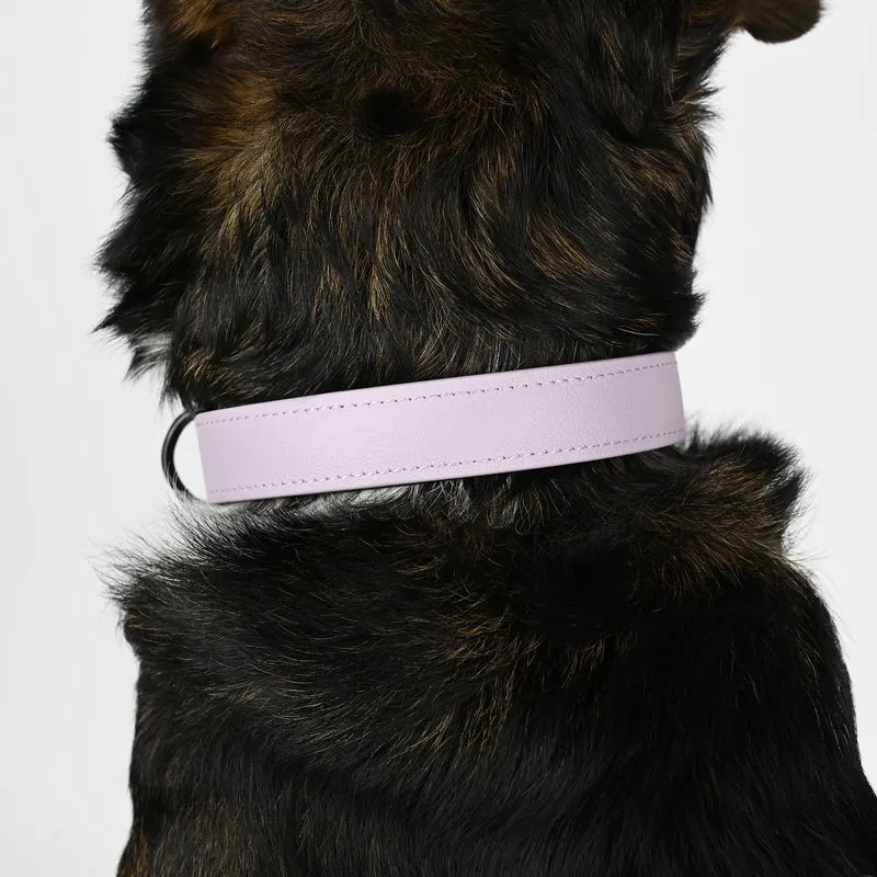 Biothane Hundehalsband | lavendel