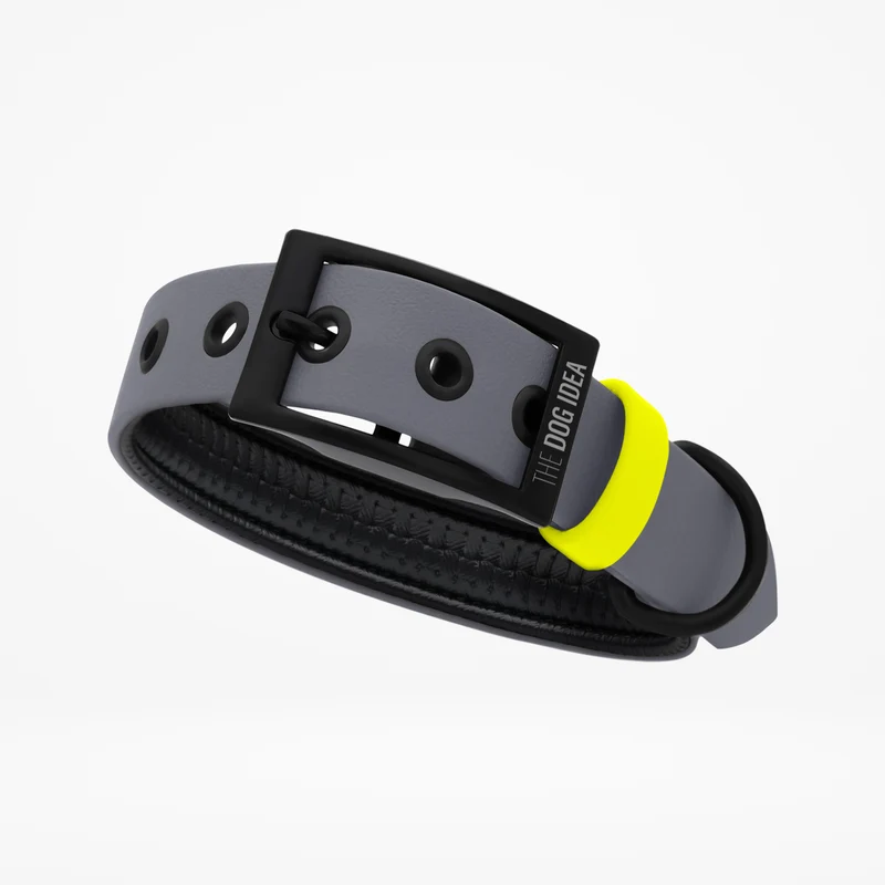 Biothane Hundehalsband | grau