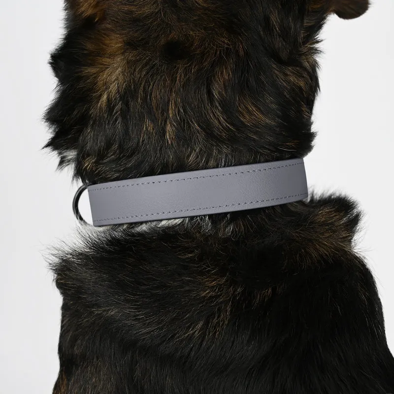 Biothane Hundehalsband | grau