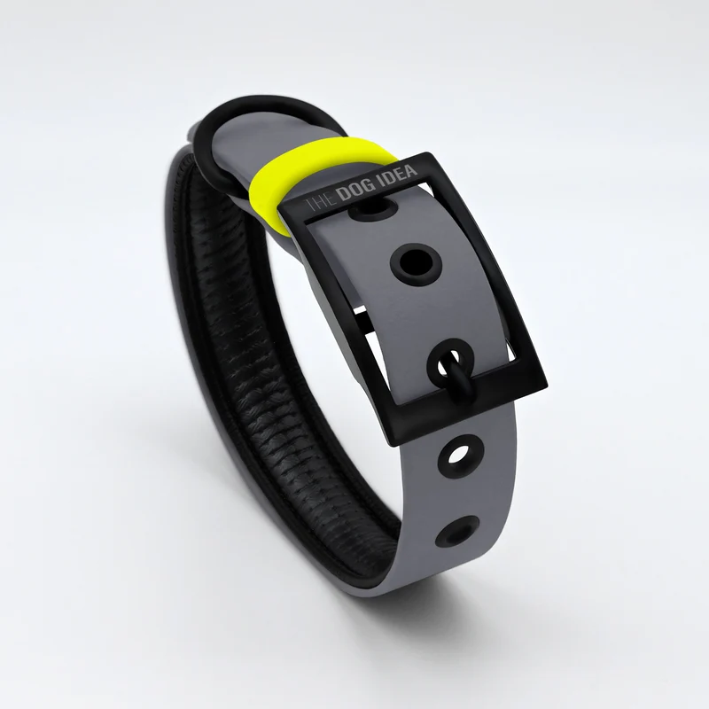 Biothane Hundehalsband | grau