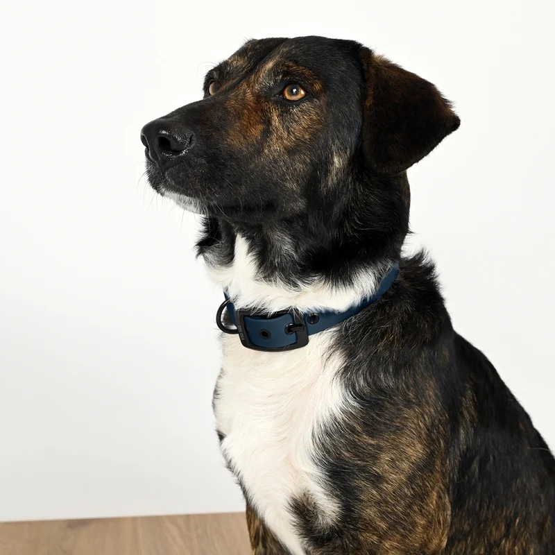 Biothane Hundehalsband | navy