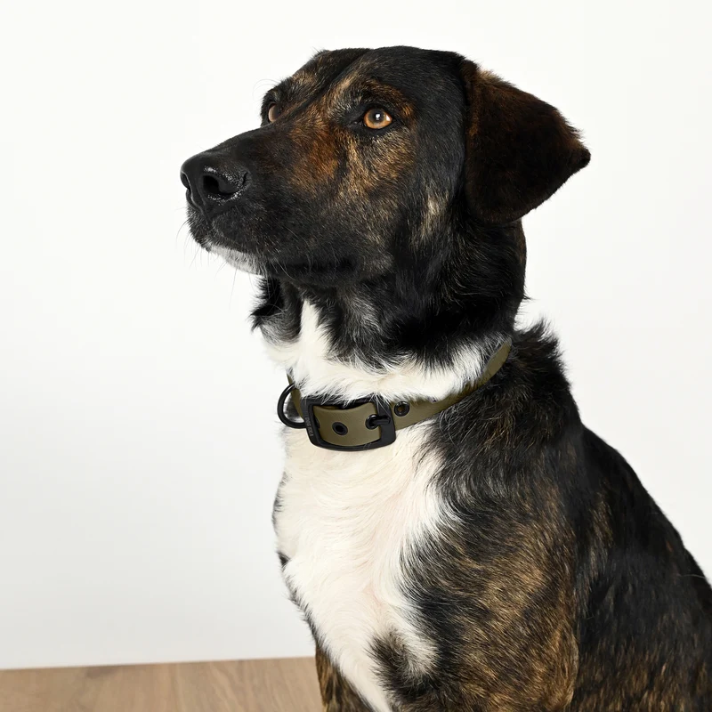 Biothane Hundehalsband | khaki