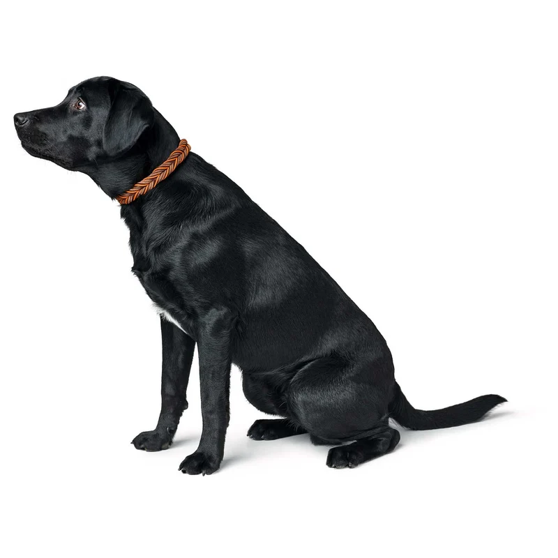 Halsband Solid Education Cord
