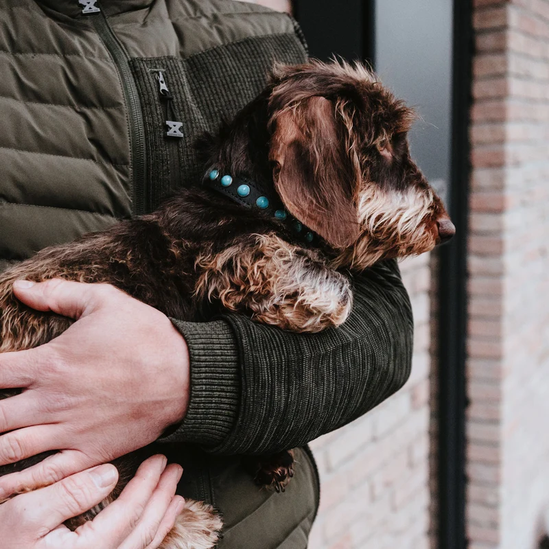 Halsband Modica