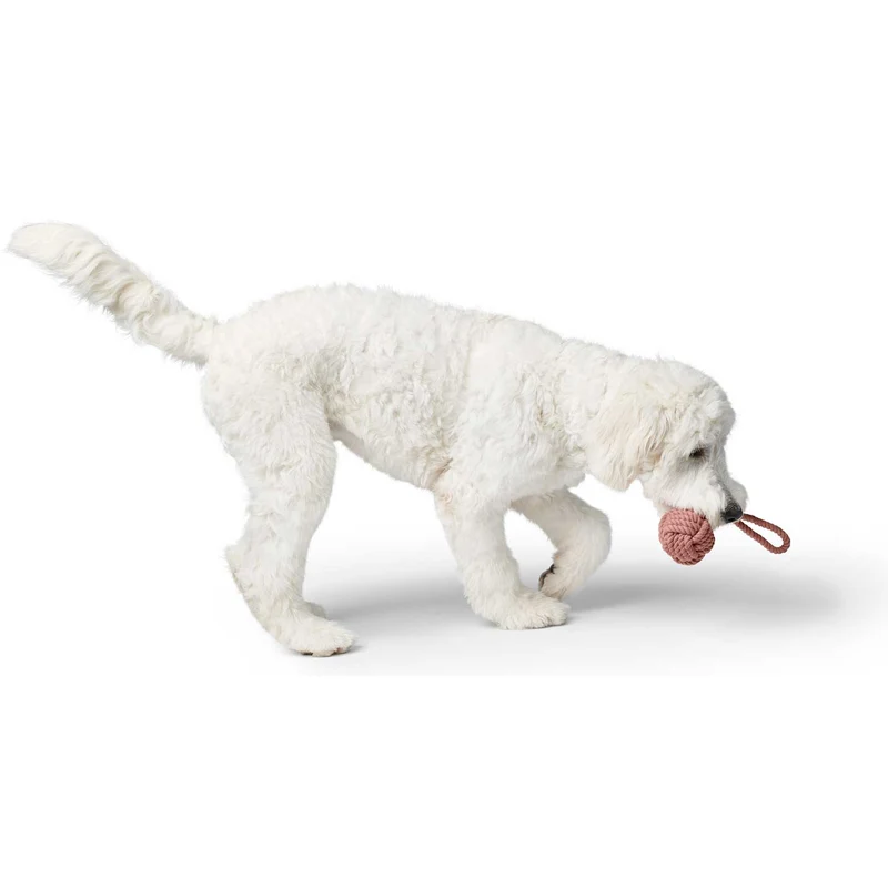 Hundespielzeug Inari