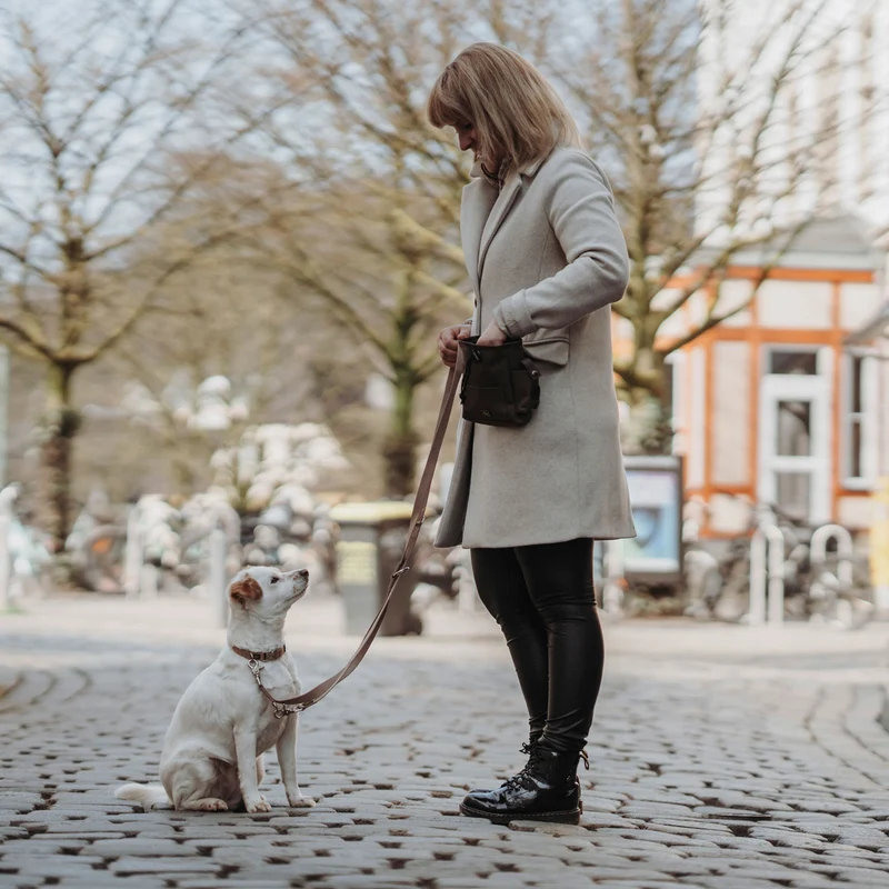 Verstellbare Führleine Inari