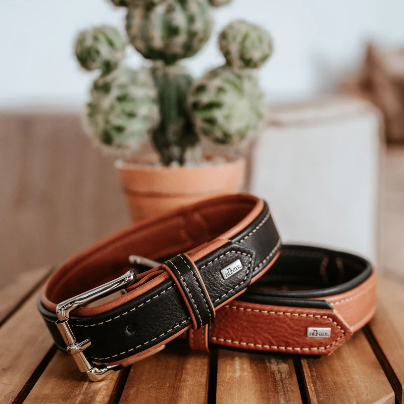 Halsband Canadian Up