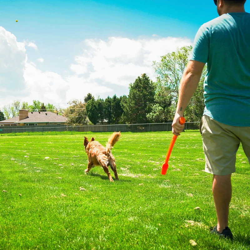 Wurf-Hundespielzeug FLINGERZ™ Ball