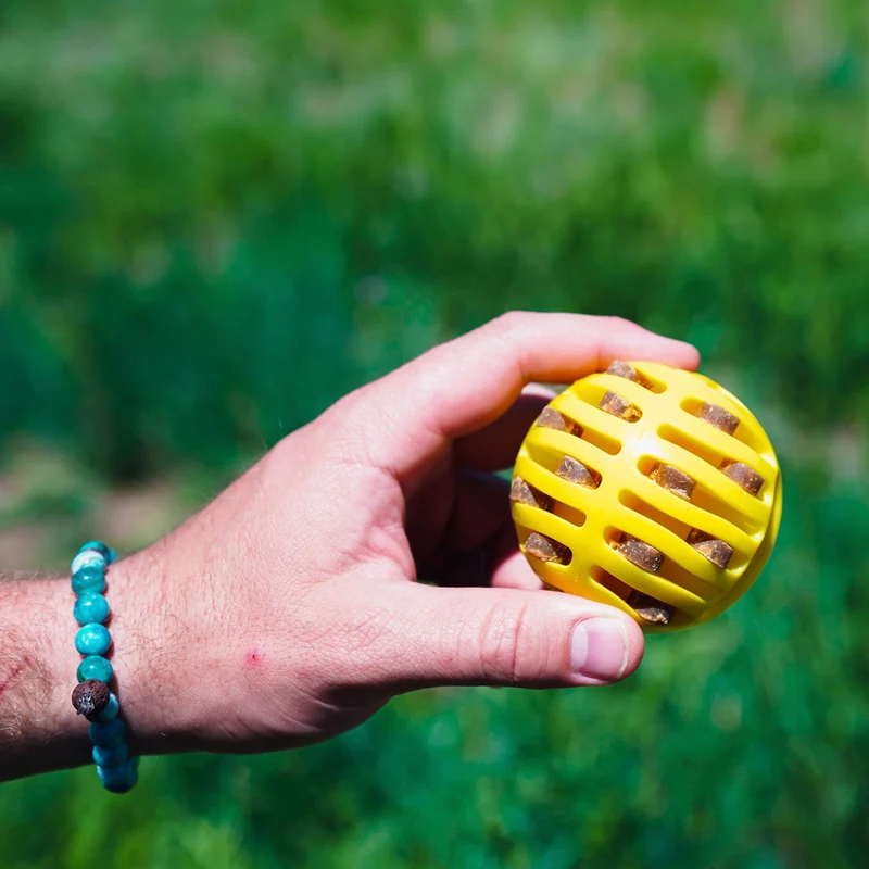 Wurf-Hundespielzeug FLINGERZ™ Ball