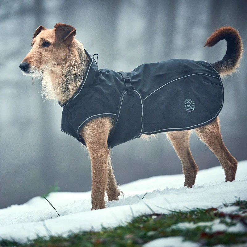 Hundemantel Uppsala