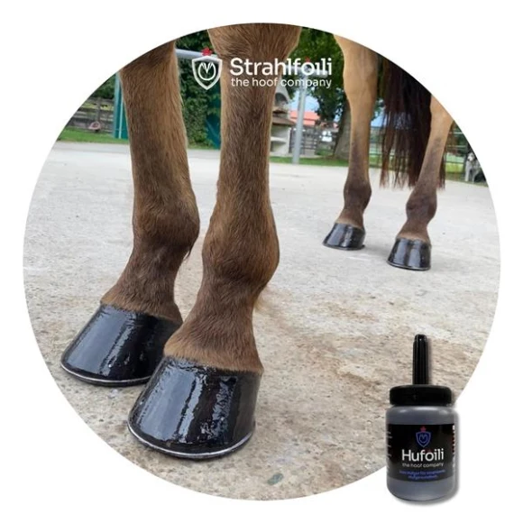 Hufoili mit Pinsel black edition 250ml