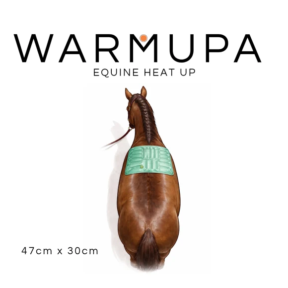 WARMUPA - Equine Heat Up